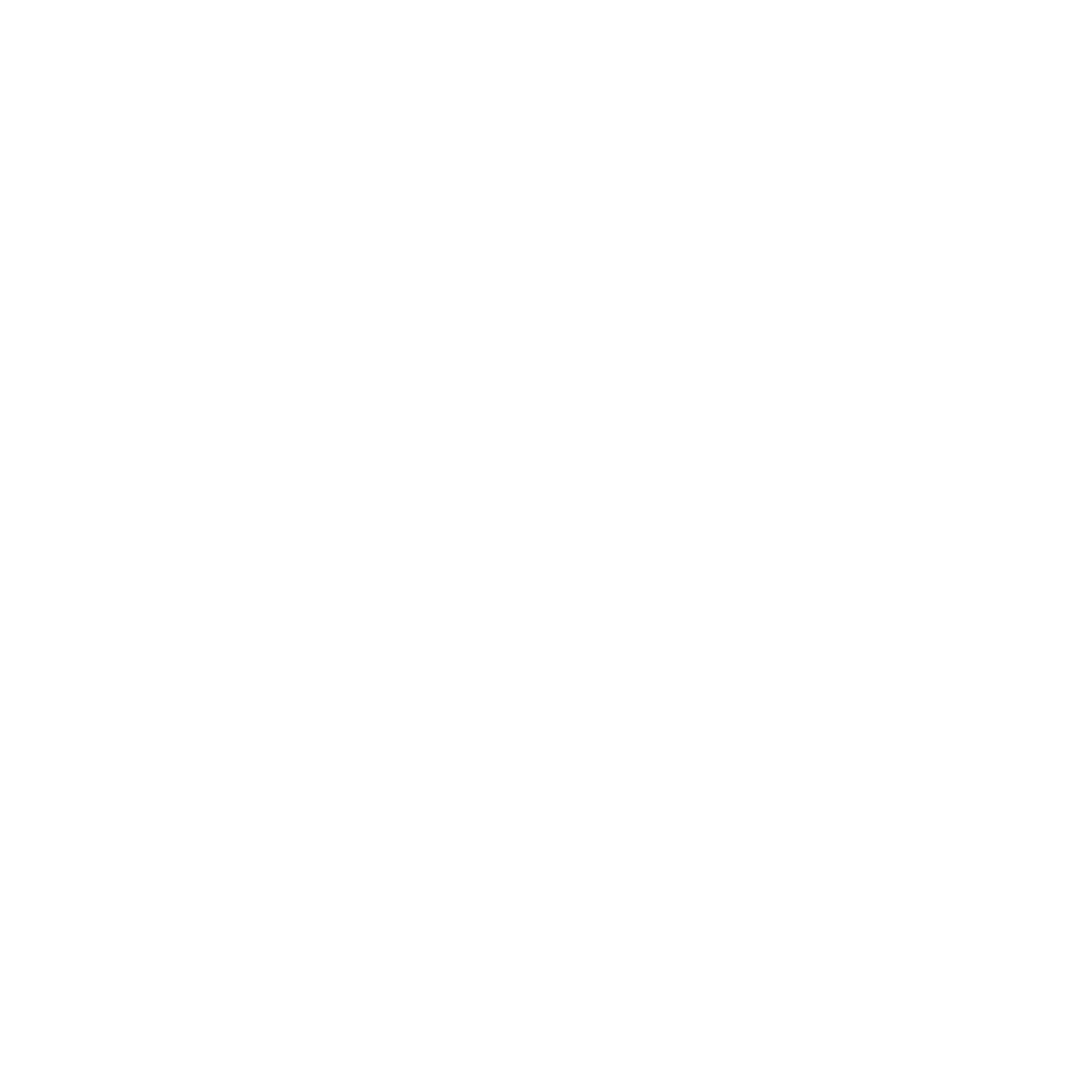 checklist icon white