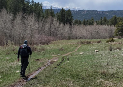 USFS IVM Story Map