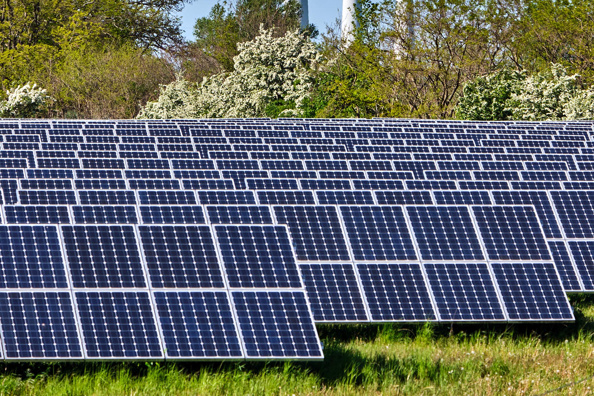 who-we-serve-clean-energy